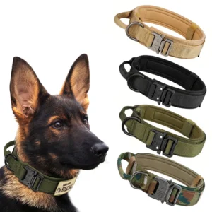 Adjustable Dog Training Collar