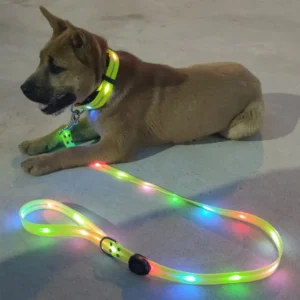 LED Light-Up Dog Leash