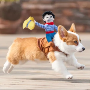 Cowboy Dog Costume