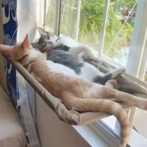 Cat Window Hammock Bed